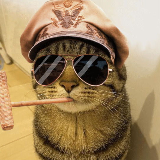 segl cat